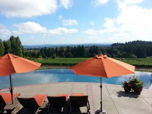 Blakeslee Vineyard Estate Sherwood Oregon Pool