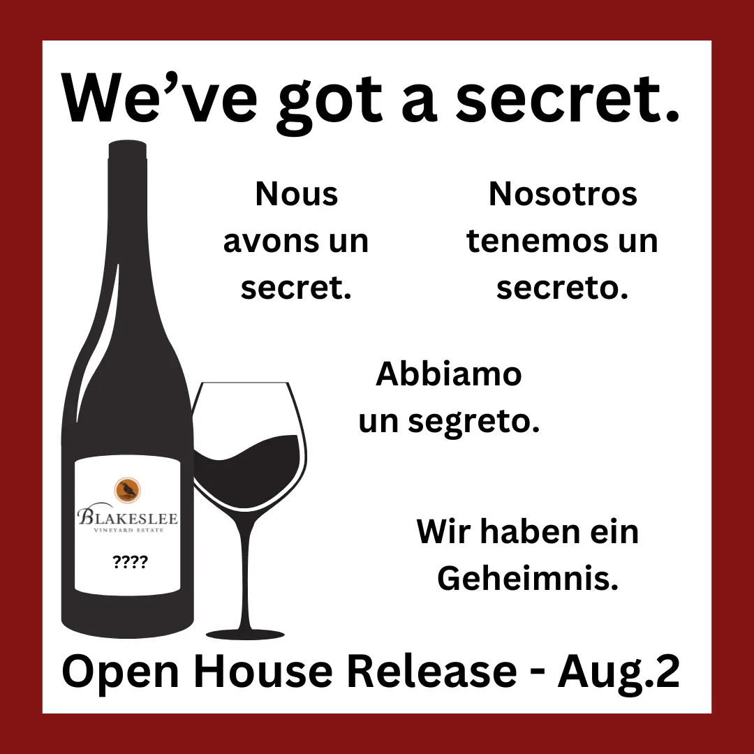 Blakeslee (TEASER) Open House Graphic Open House event
